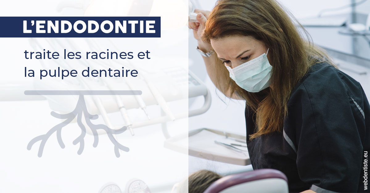 https://dr-curnier-laure.chirurgiens-dentistes.fr/L'endodontie 1